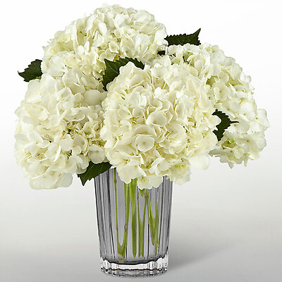 The Ivory Hydrangea Bouquet by Vera Wang